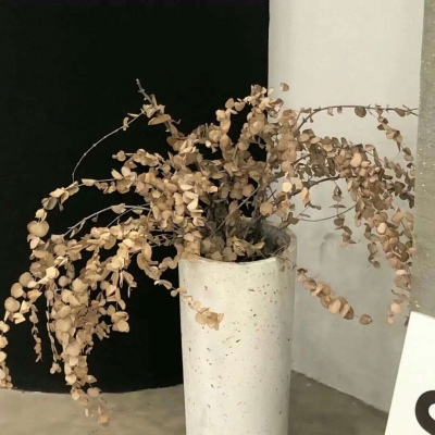 让胡路福瑞交流群